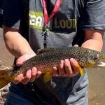 Dowdy Lake Fishing Report Today π£
