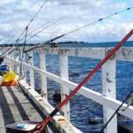 St Leonards Pier, Victoria Fishing Report Today π£
