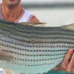 Canyon Lake, Texas Fishing Report Today ๐ฃ