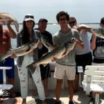 Cape Cod Fishing Report Today 🎣