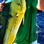 Cocoa Beach Fishing Report Today 🎣