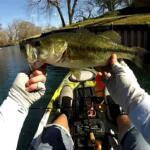 Comal River Fishing Report Today π£