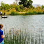 Dankworth Pond Fishing Report Today 🎣