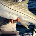 Daytona Beach, FL Fishing Report Today 🎣