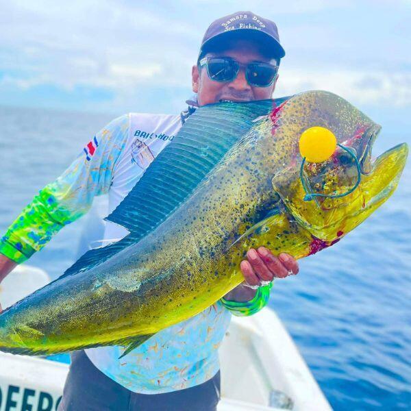 How to Catch Mahi Mahi: Complete Guide to Techniques, Gear, and Locations