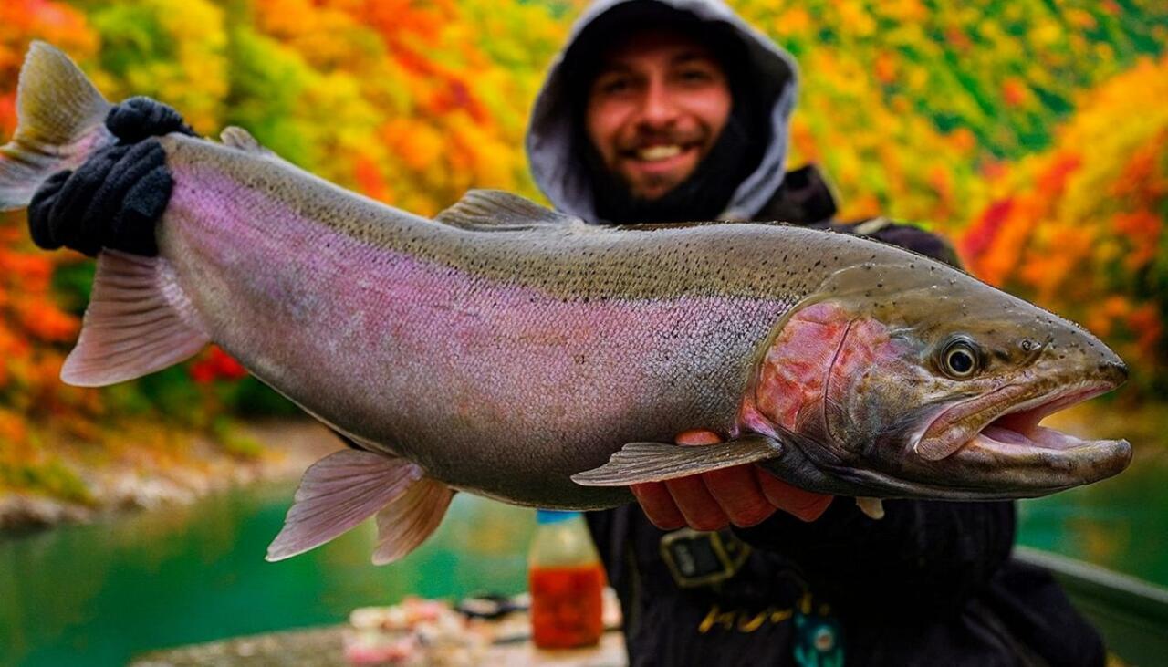 How to Catch Steelhead: Complete Guide to Techniques, Gear, and Locations