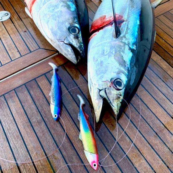 How to Catch Yellowfin Tuna: Complete Guide to Techniques, Gear, and Locations