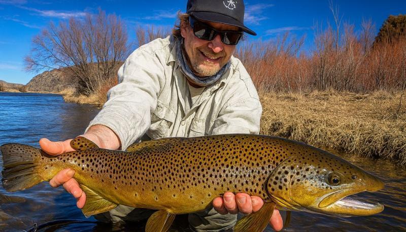 How to Catch Trout: Complete Guide to Techniques, Gear, and Locations